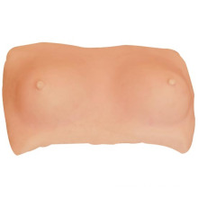 Medical and Teaching Model-Advanced Breast Examination Model